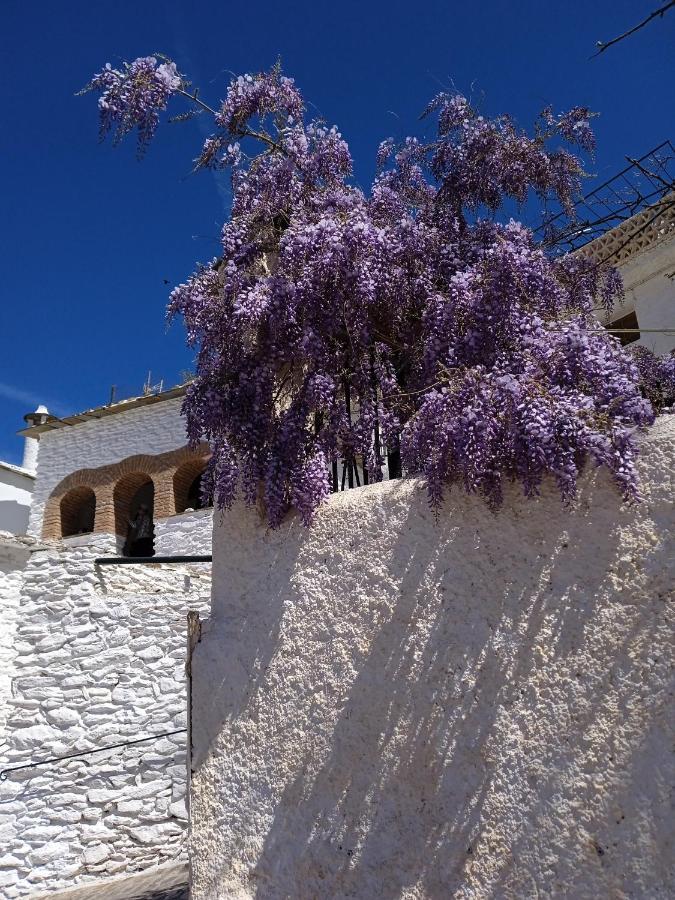 Casa Los Trillizos Pampaneira Exteriér fotografie